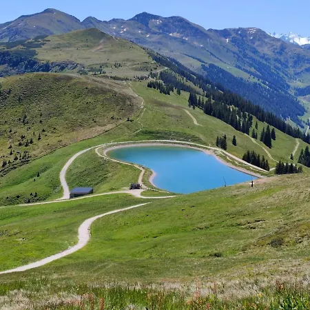 公寓 Haus Jenewein 维尔德舍瑙